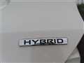 2020 Nissan X-Trail Hybrid