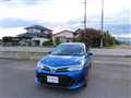 2019 Toyota Corolla Fielder