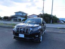 2019 Toyota Land Cruiser Prado