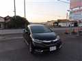 2019 Honda Shuttle