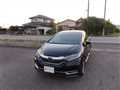 2019 Honda Shuttle