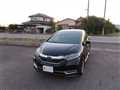 2019 Honda Shuttle