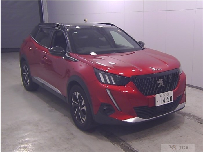 2020 Peugeot 2008