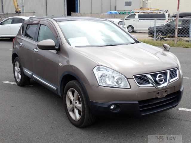 2011 Nissan Dualis