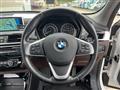 2017 BMW X1