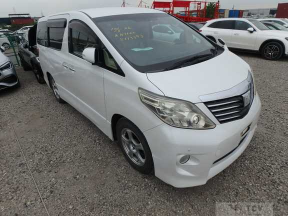 2010 Toyota Alphard