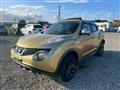 2013 Nissan Juke