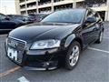2010 Audi A3