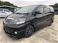 2007 Toyota Alphard