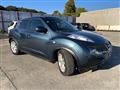 2010 Nissan Juke
