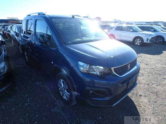 2020 Peugeot Peugoet Others