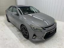 2010 Toyota Mark X