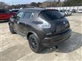 2013 Nissan Juke