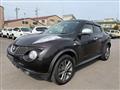 2013 Nissan Juke