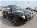 2013 Nissan Juke