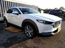 2019 Mazda Mazda Others