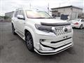 2020 Toyota Land Cruiser Prado