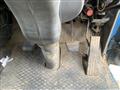 1991 Mitsubishi Canter