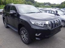 2019 Toyota Land Cruiser Prado