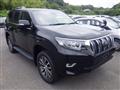 2019 Toyota Land Cruiser Prado
