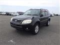 2010 Ford Escape