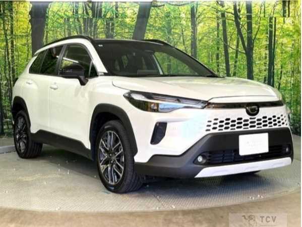 2025 Toyota Toyota Others