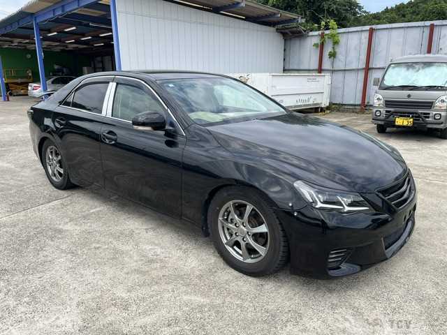 2010 Toyota Mark X