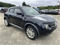 2013 Nissan Juke