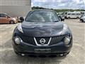 2013 Nissan Juke