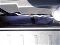 2008 Honda Crossroad