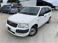 2010 Toyota Succeed Van