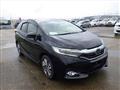 2018 Honda Shuttle