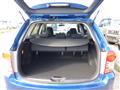 2010 Toyota Corolla Fielder