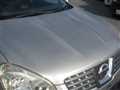 2008 Nissan Dualis