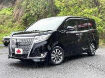 2019 Toyota Esquire