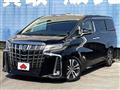 2019 Toyota Alphard