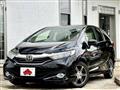 2019 Honda Fit shuttle