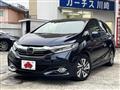 2018 Honda Fit shuttle