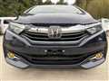 2019 Honda Shuttle
