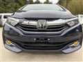 2019 Honda Shuttle