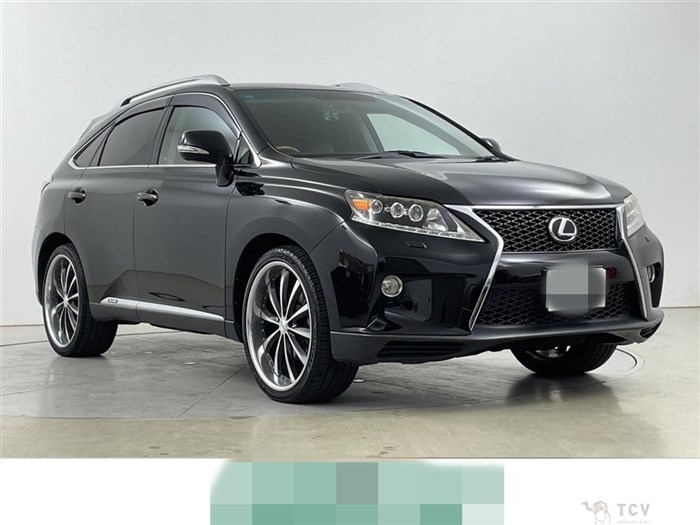 2009 Lexus RX