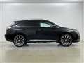 2009 Lexus RX