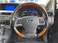 2009 Lexus RX