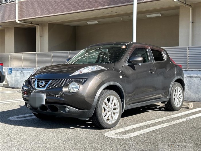 2010 Nissan Juke