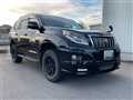 2011 Toyota Land Cruiser Prado