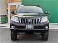 2011 Toyota Land Cruiser Prado