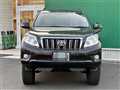 2011 Toyota Land Cruiser Prado