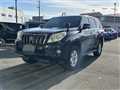 2011 Toyota Land Cruiser Prado