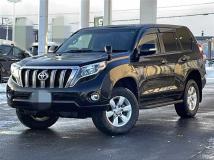 2013 Toyota Land Cruiser Prado
