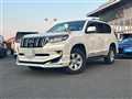 2019 Toyota Land Cruiser Prado